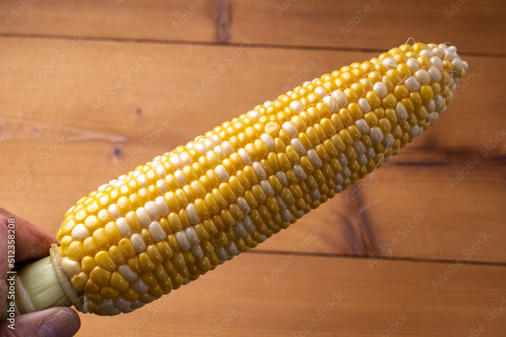 1000_F_512358208_eumPQ2t2Tt8e0