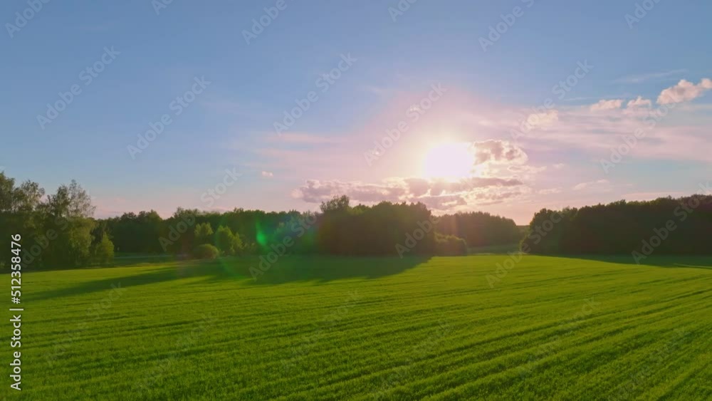 Evening. Sunset. The rays of the sun. Summer landscape. 4K Evening. Sunset. The rays of the sun. Summer landscape. 4K