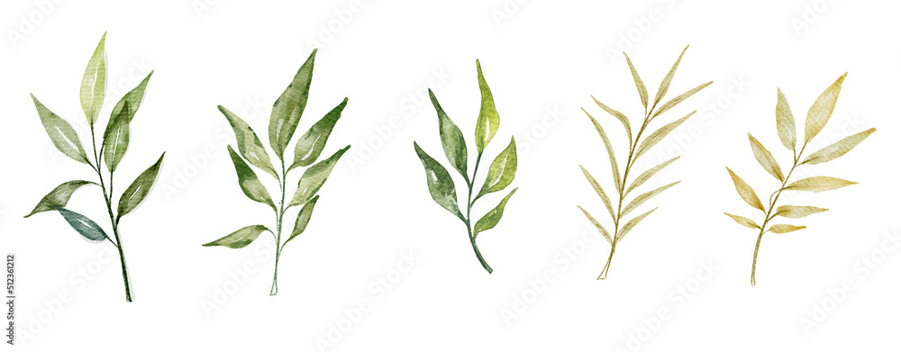Set watercolor herbal elements..Collection with  flowers . green leaves.Isolated on a white background.