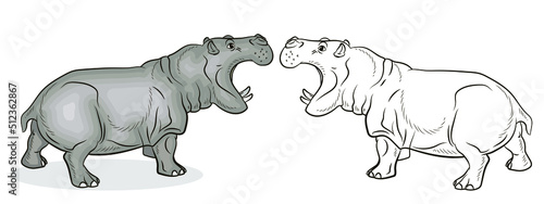 In the animal world. An image of an African hippo.
 Black-and-white and color drawing, coloring. Vector drawing.