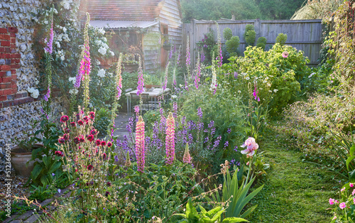 English Country Garden with cottage garden plants in summer and a flint wall