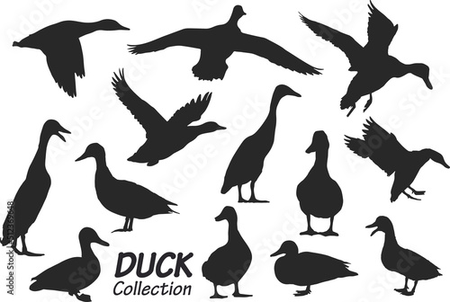 Duck silhouettes