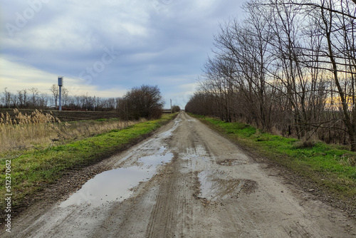 Country road through agricultural fields in cloudy weather