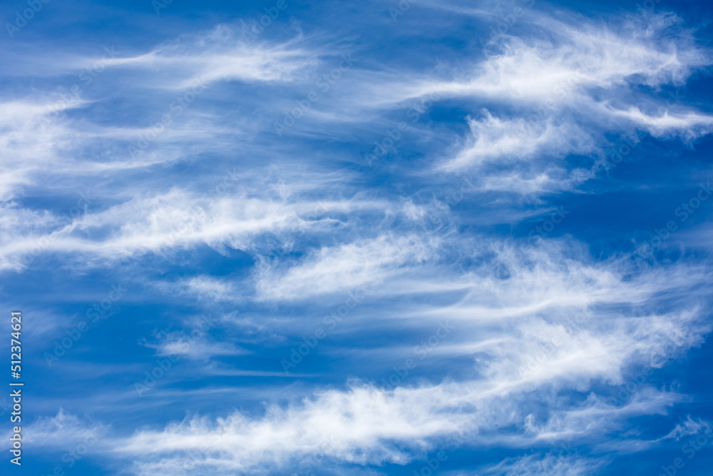 Closeup and background with white clouds and blue sky.