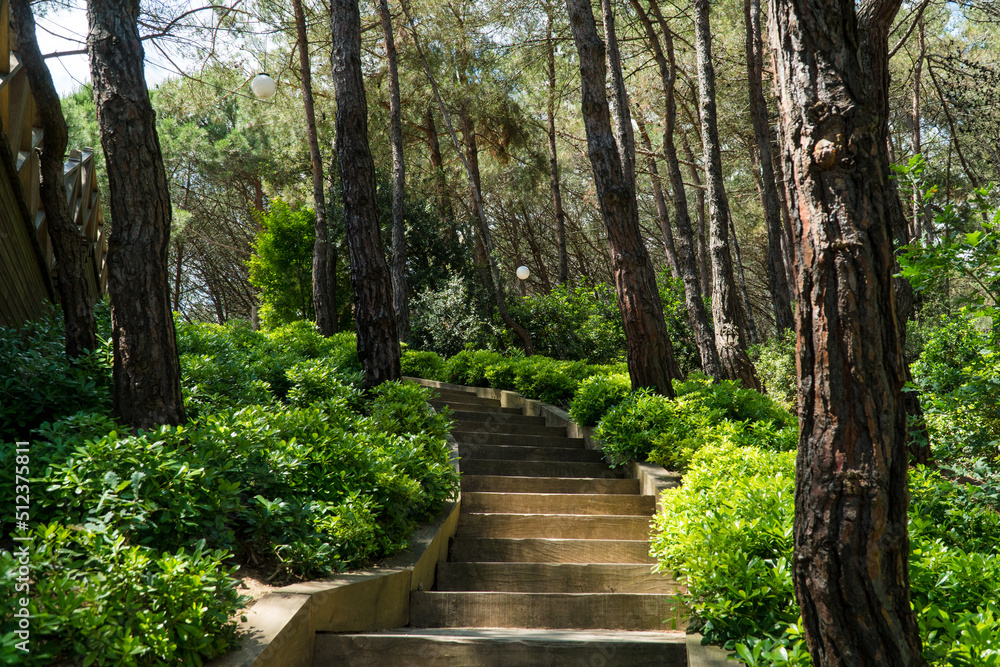 Ataturk kent ormani in Istanbul. Ataturk City Forest. Green spaces in Istanbul city. Green parks or recreational areas in city. Ataturk kent ormani in Istanbul. Ataturk City Forest. Green spaces in Istanbul city. Green parks or recreational areas in city.