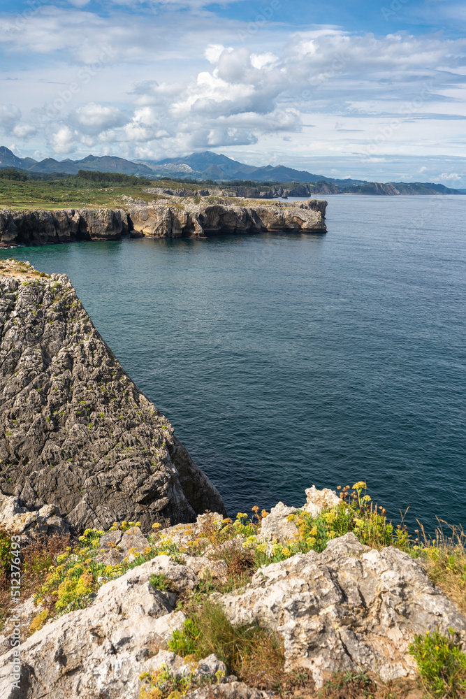 Vertical shot of a calm ocean surrounded by cliffs under a blue cloudy sky
