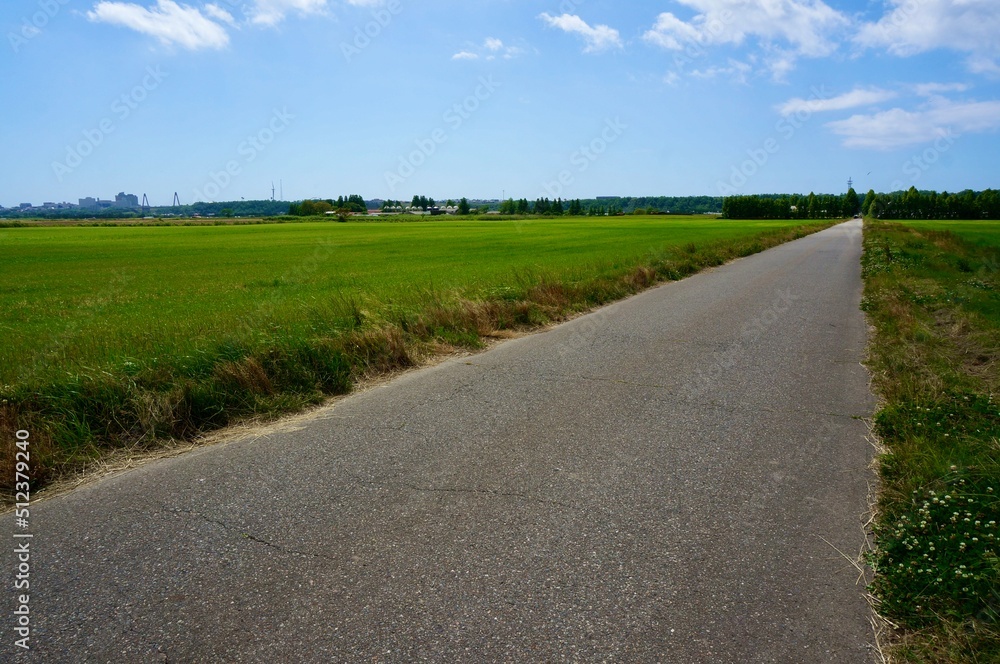 地平線に伸びる田舎の道路 