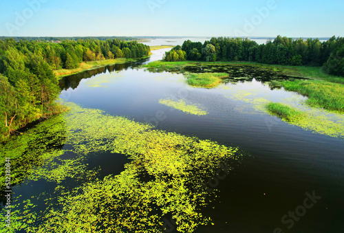 Lake in wild nature, aerial view. Lake on sunrise in summer. Aerial panoramic landscape view of lake in wildlife. Drone view of wetland in green colors. Rural environment, clean air and ecology. Pond.