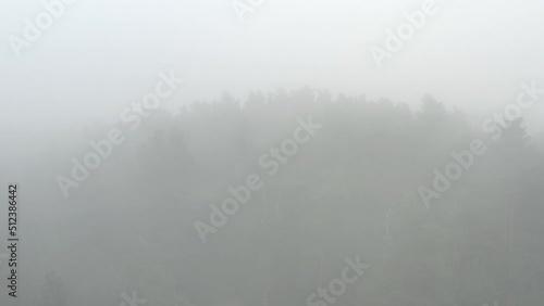 Survol d'une forêt sombre sous le brouillard et la brume