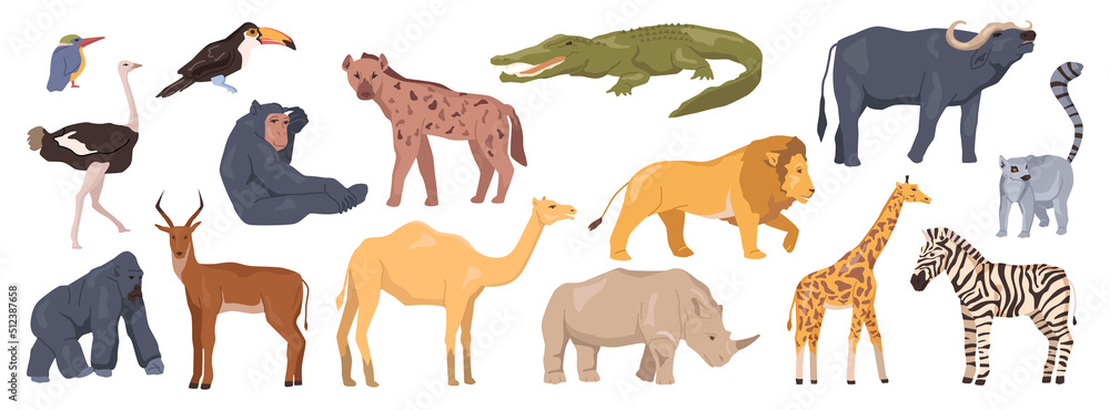Zoo animals, African wildlife park fauna. Giraffe and lion, buffalo and gorilla, rhino and zebra, ostrich and crocodile. Mammals and birds. Flat cartoon, vector illustration