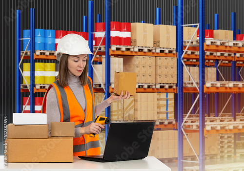 Quadro em tela Woman in fulfillment center