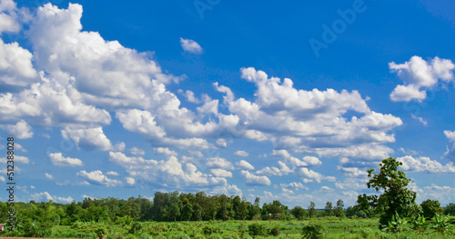 green grass and blue sky