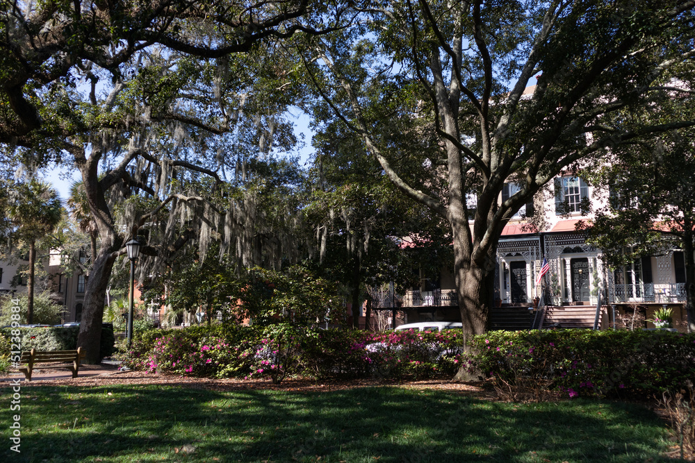 Monterey Square with Green Trees and Spanish Moss in the Historic District of Savannah Georgia Monterey Square with Green Trees and Spanish Moss in the Historic District of Savannah Georgia