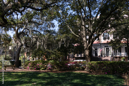 Monterey Square with Green Trees and Spanish Moss in the Historic District of Savannah Georgia photo