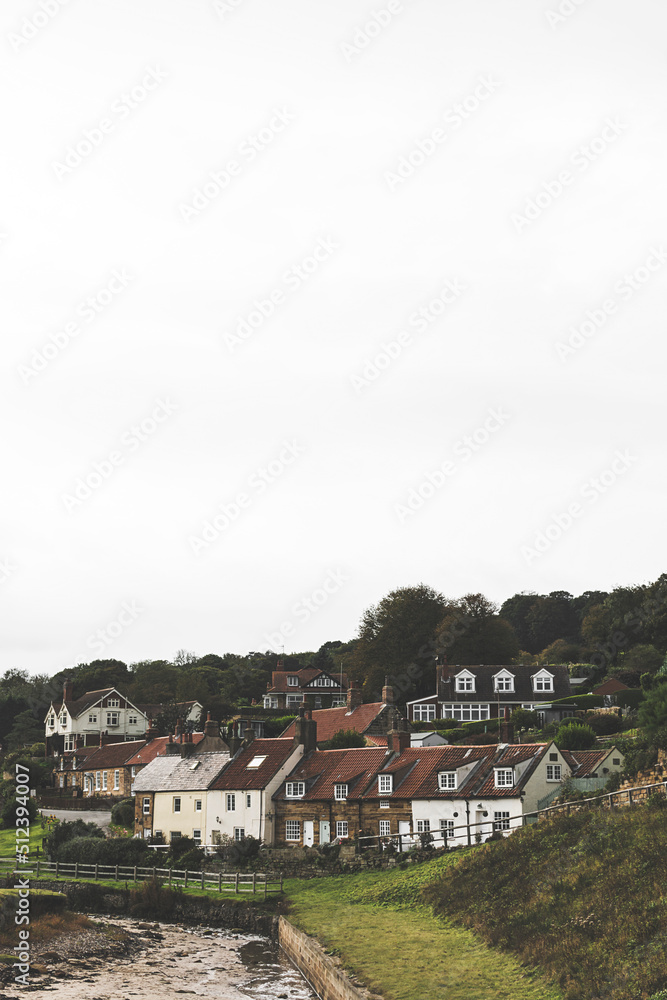 Generic village scene against an overcast grey sky.