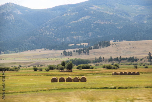 Fields of nature