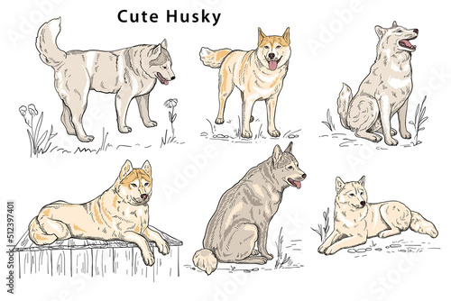 Cute husky Hand-drawn doodle vvector silhouette in different poses, the dog is sitting, lying, standing, looking