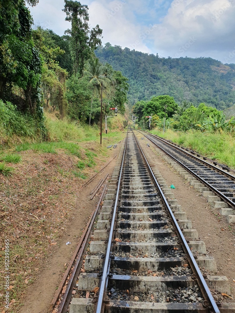 Fototapeta premium railway in the countryside