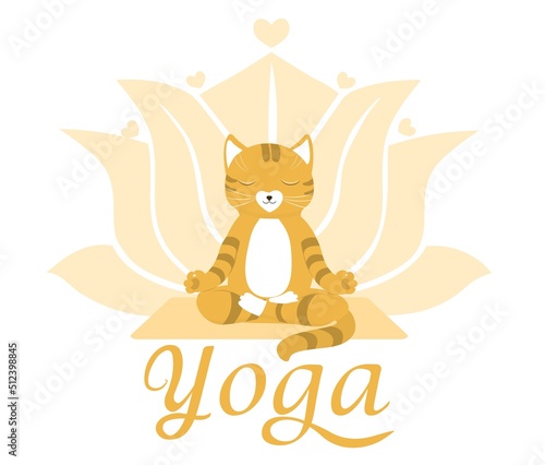 Cartoon funny cats doing yoga position isolated on white background Vector illustration