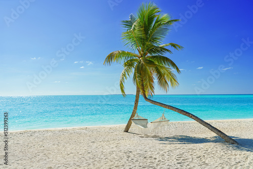 Fototapeta Naklejka Na Ścianę i Meble -  A hammock on the palm tree on the beach of a tropical island