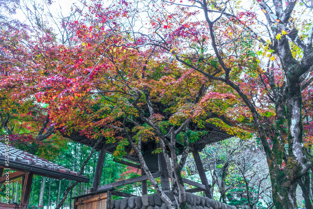 Naklejka premium 晩秋の修禅寺境内の風景
