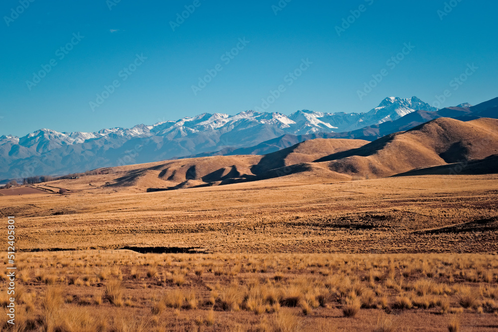 Arid grassy steppe by the Andes Mountains near Tupungato, province of Mendoza, Argentina.