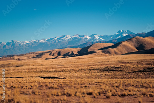 Arid grassy steppe by the Andes Mountains near Tupungato, province of Mendoza, Argentina.