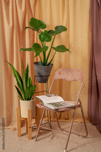 Still life with plants on a brown curtains background with book on the chair.