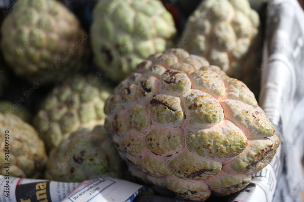 Obraz premium CHIRIMOYA