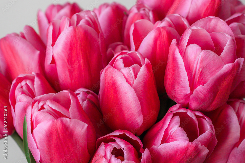 Fototapeta premium A bunch of pink tulips on a light background. Close-up. A delicate bouquet for the holiday. Spring abundance.