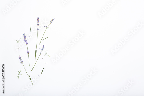 Fototapeta Naklejka Na Ścianę i Meble -  Fresh branches of lavander, blackground with flowers. Top view, space for text