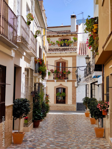 Flower pots in the street