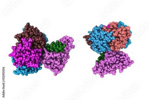 Φωτογραφία Cholera toxin produced by bacterium Vibrio cholerae