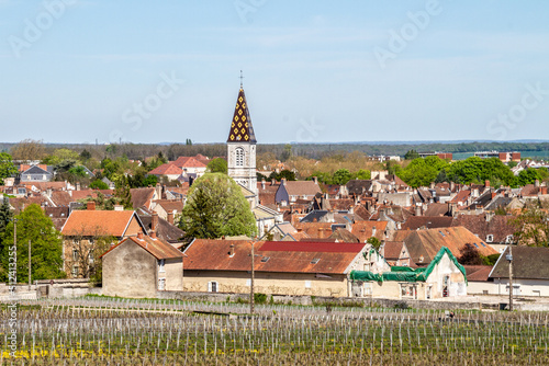 Obraz na plátne Nuits-Saint-Georges , France, April 17, 2022