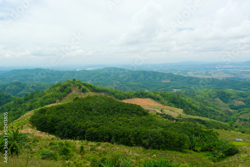 rubber plantation on the mountains