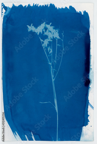 cianotipe paper texture abstract background