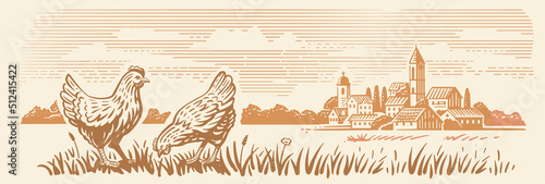 Chicken in rural village. Organic Farm landscape