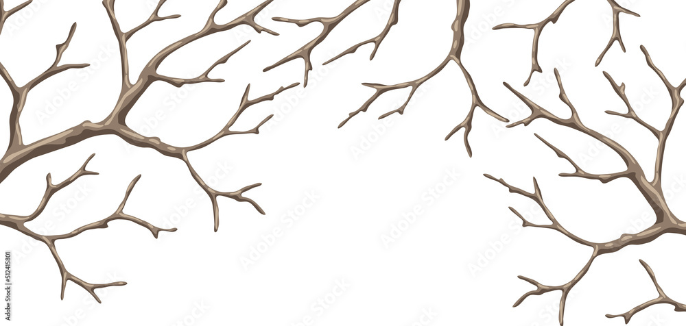 Background with dry bare branches. Decorative natural twigs.