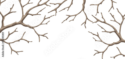 Background with dry bare branches. Decorative natural twigs.