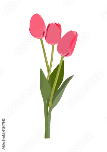 Pink tulip bouquet card. White background. Three flowers. Spring time. © Ox_art