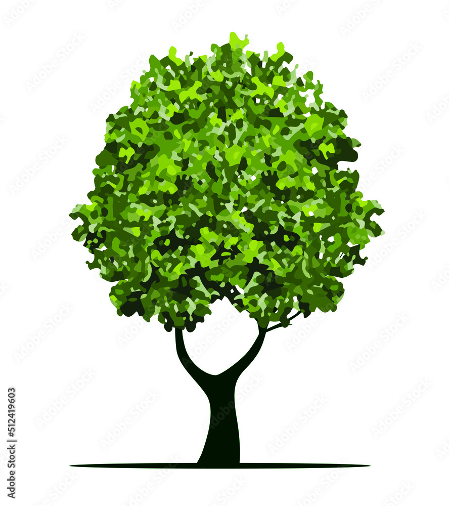 Shape of green Tree with Leaves and Roots. Vector outline Illustration. Plant in Garden. Shape of green Tree with Leaves and Roots. Vector outline Illustration. Plant in Garden.