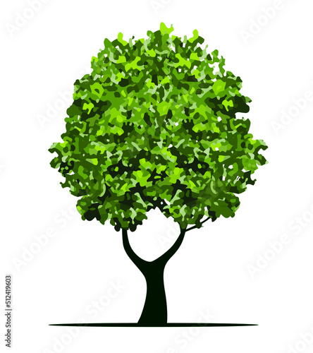 Shape of green Tree with Leaves and Roots. Vector outline Illustration. Plant in Garden.