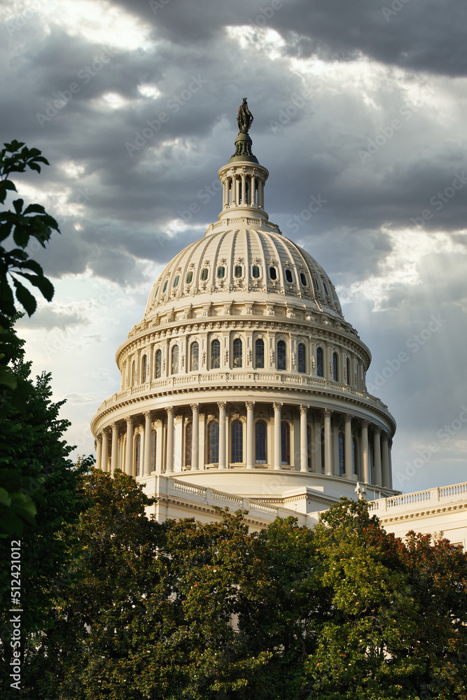 Naklejka premium United States Capitol in Washington, D.C., USA.