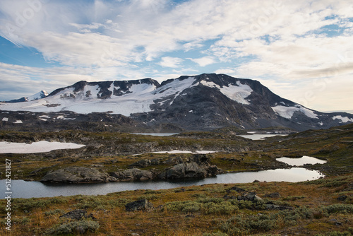 Snow-covered mountain range in the middle of Norway, in the late afternoon with beautiful small plants in the foreground and a lake and bigger mountains in the background.