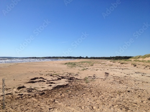 Beach panorama in sweden  blue sky  sea