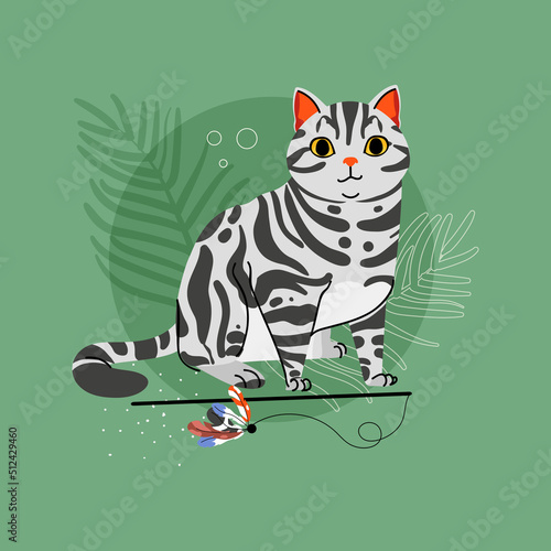 American Shorrthair cat breed on green background. Pet animal character illustration
