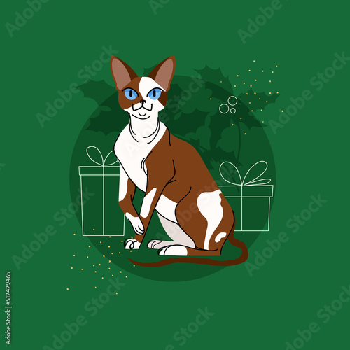 Devon Rex cat isolated on green background. Christmas animal character vector illustration in flat style