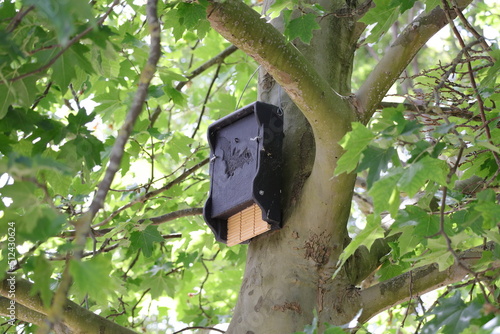 Nichoir noir  a chauve souris accroché dans un arbre 