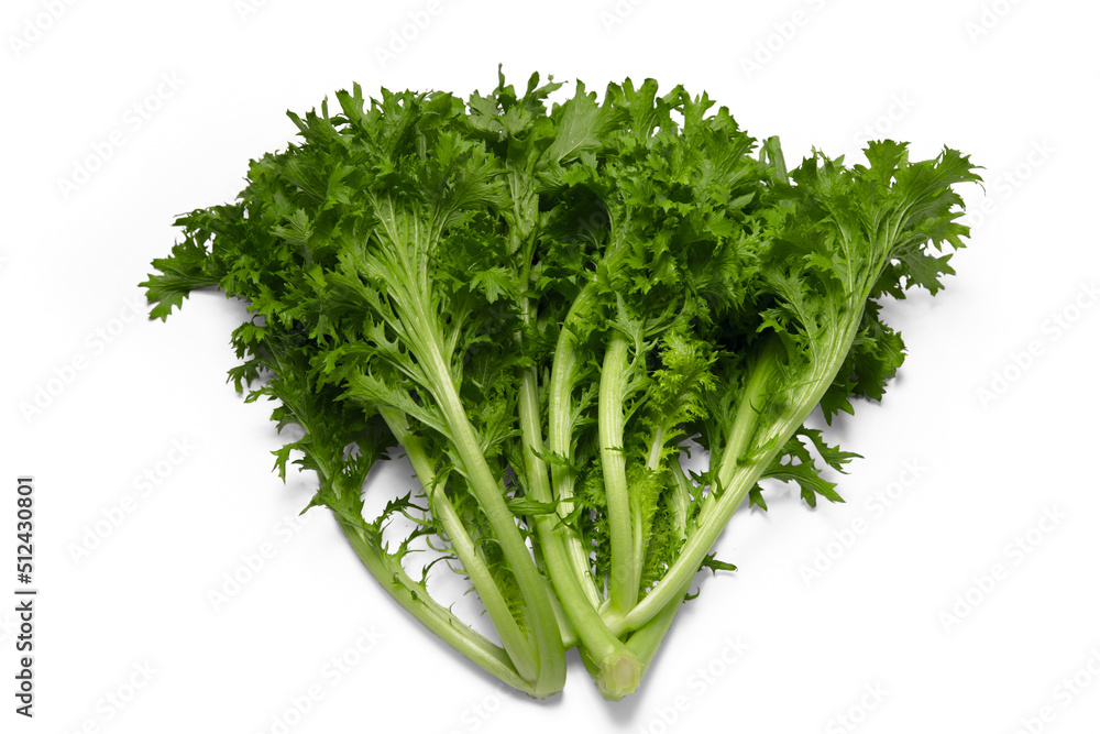 Mostarda crespa fresca recém colhida em composição isolada em fundo branco