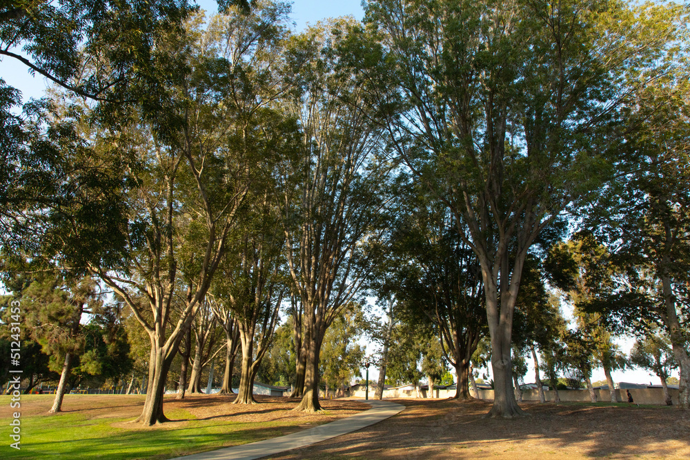 Public Parks & Recreation Public Parks & Recreation